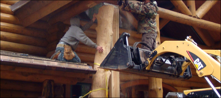 Log Home Log Replacement  Montgomery County, Ohio